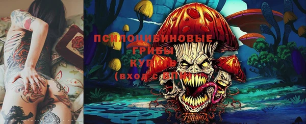 герыч Надым
