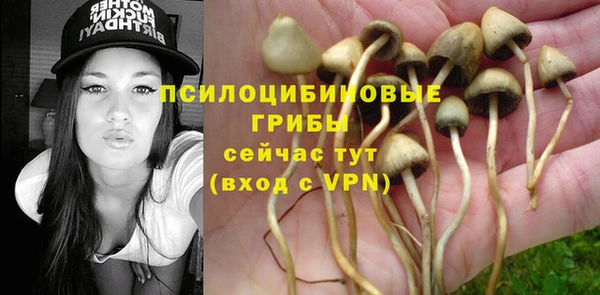 герыч Надым