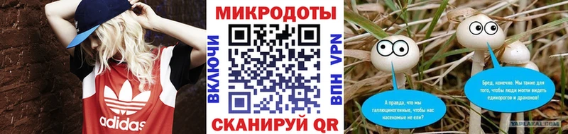Псилоцибиновые грибы Psilocybe  Болхов 